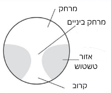 משקפי מולטיפוקל