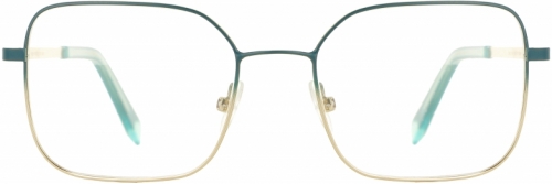 משקפי Vanni 313