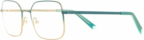 משקפי Vanni 313